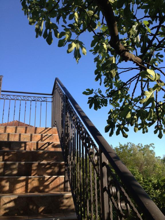 Apartmani Tivat Kaludjerovic Rom bilde